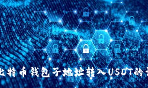 :
如何将比特币钱包子地址转入USDT的详细指南