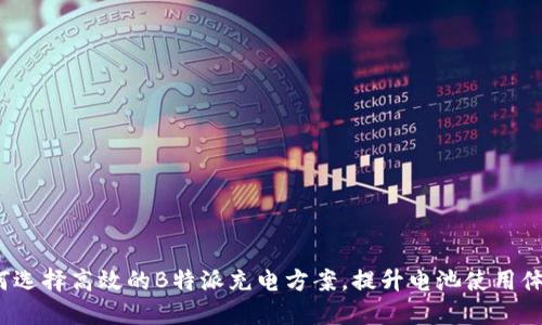 如何选择高效的B特派充电方案，提升电池使用体验?