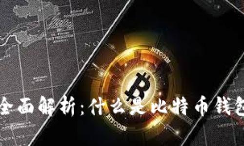 比特币钱包的全面解析：什么是比特币钱包及其使用方式