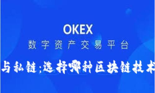 Web3时代的公链与私链：选择哪种区块链技术更适合你的项目？