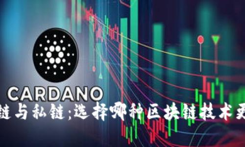Web3时代的公链与私链：选择哪种区块链技术更适合你的项目？
