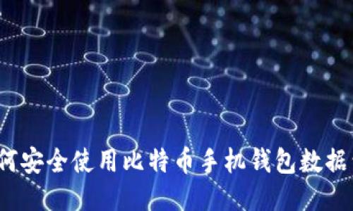 如何安全使用比特币手机钱包数据包？