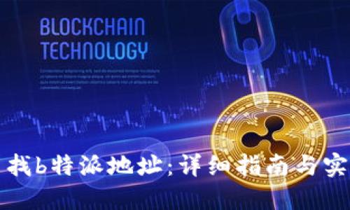 如何查找b特派地址：详细指南与实用技巧