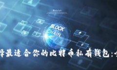 如何选择最适合你的比特币私有钱包：全面指南