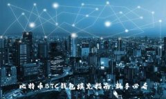 比特币BTC钱包填充指南：新手必看