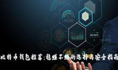 比特币钱包推荐：稳赚不赔的选择与安全指南
