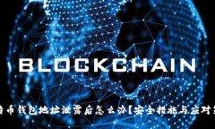比特币钱包地址泄露后怎么办？安全措施与应对