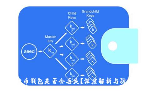 比特币钱包是否会丢失？深度解析与防范措施