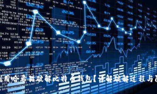 : 如何利用哈希猫破解比特币钱包？详解破解过程与防范措施