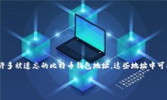 在当今数字货币蓬勃发展的时代，比特币作为最