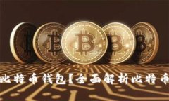 如何选择最安全的比特币钱包？全面解析比特币