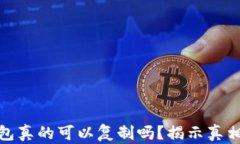 比特币硬钱包真的可以复制吗？揭示真相与安全
