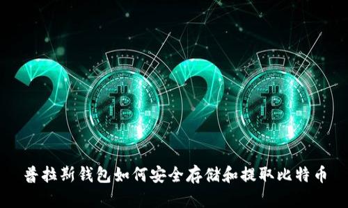 普拉斯钱包如何安全存储和提取比特币