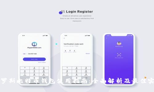 俄罗斯比特币钱包使用指南：全面解析及最佳实践