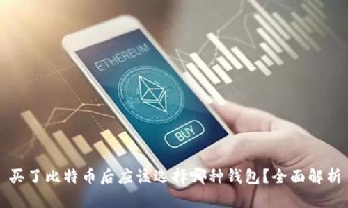 买了比特币后应该选择哪种钱包？全面解析