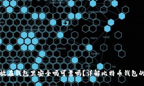 比特币放在钱包里安全吗可靠吗？详解比特币钱包的安全性