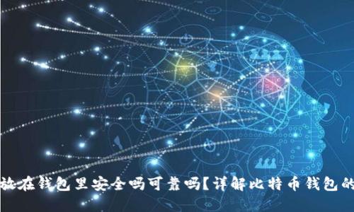 比特币放在钱包里安全吗可靠吗？详解比特币钱包的安全性
