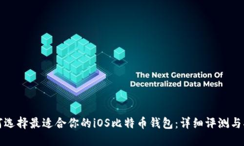 如何选择最适合你的iOS比特币钱包：详细评测与指南