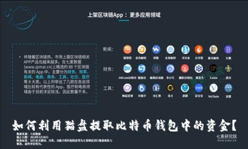 如何利用猫盘提取比特币钱包中的资金？