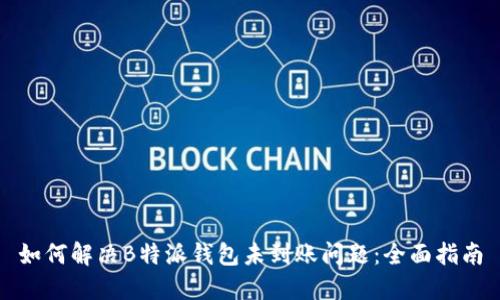如何解决B特派钱包未到账问题：全面指南