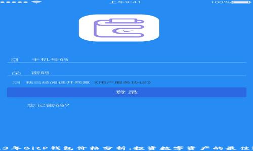
2023年BitP钱包价格分析：投资数字资产的最佳选择