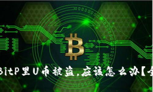 如果在BitP里U币被盗，应该怎么办？全面指南