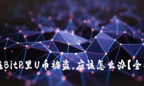 如果在BitP里U币被盗，应该怎么办？全面指南