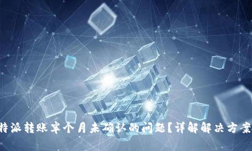 如何处理B特派转账半个月未确认的问题？详解解决方案与注意事项