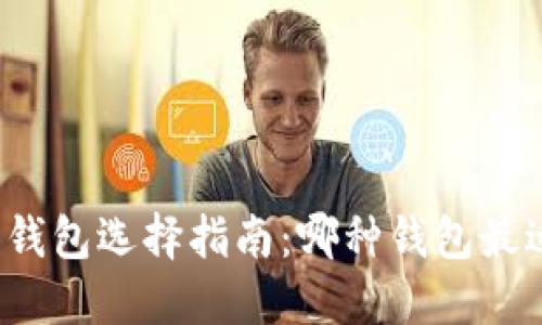 比特币钱包选择指南：哪种钱包最适合你？