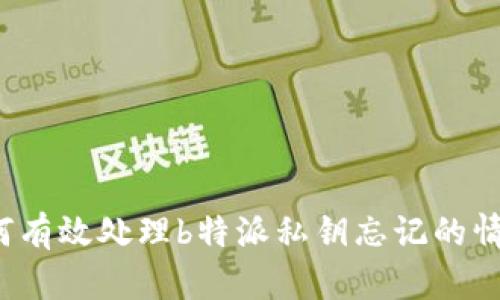 如何有效处理b特派私钥忘记的情况？