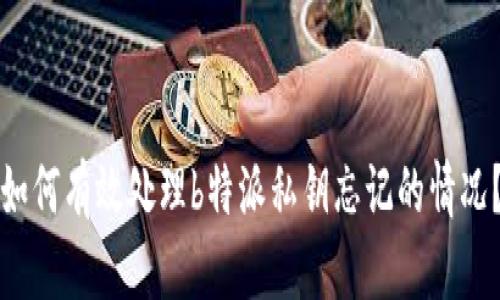 如何有效处理b特派私钥忘记的情况？