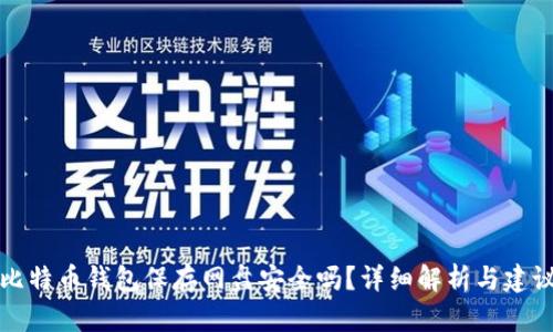 比特币钱包保存网盘安全吗？详细解析与建议