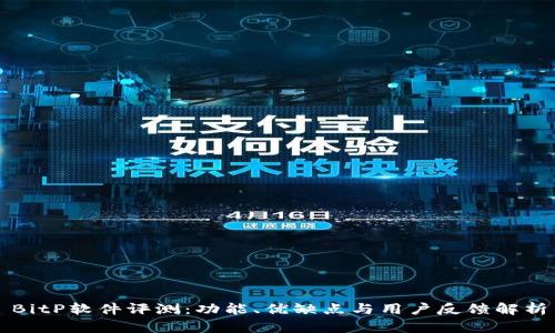 BitP软件评测：功能、优缺点与用户反馈解析