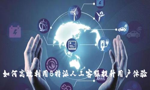 如何高效利用B特派人工客服提升用户体验