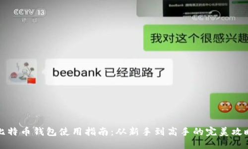 比特币钱包使用指南：从新手到高手的完美攻略