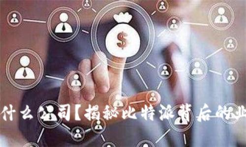 比特派是什么公司？揭秘比特派背后的业务与发展