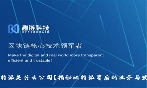 比特派是什么公司？揭秘比特派背后的业务与发展