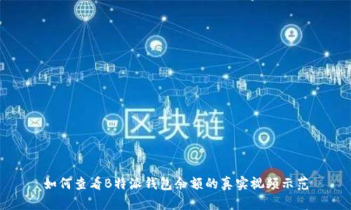 如何查看B特派钱包余额的真实视频示范