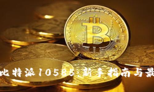 : 掌握比特派10585：新手指南与最佳实践