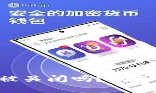 BitP Wallet会被关闭吗？揭示真相与用户指南