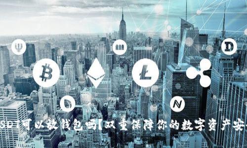 USDT可以放钱包吗？双重保障你的数字资产安全