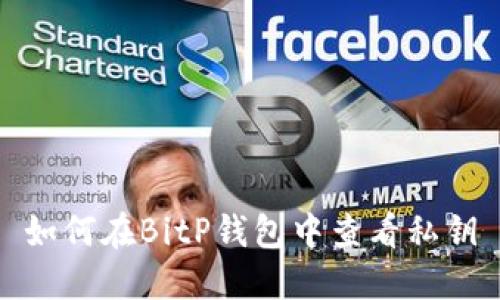 如何在BitP钱包中查看私钥