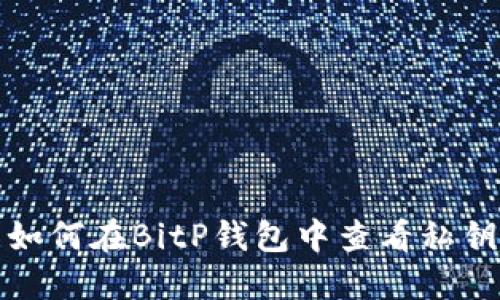 如何在BitP钱包中查看私钥