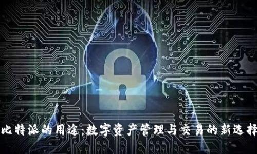 比特派的用途：数字资产管理与交易的新选择