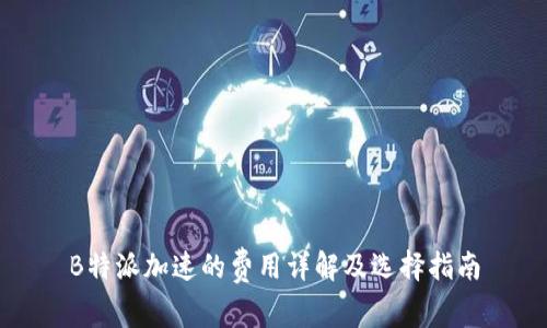 B特派加速的费用详解及选择指南