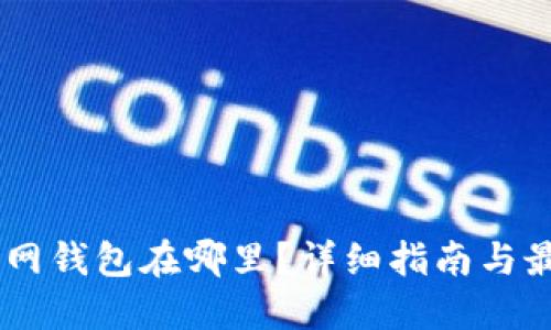 USDT官网钱包在哪里？详细指南与最佳选择