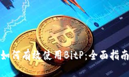 如何有效使用BitP：全面指南