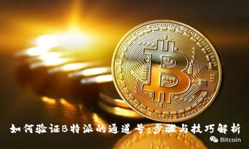 如何验证B特派的通道号：步骤与技巧解析