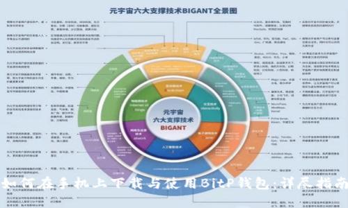 如何在手机上下载与使用BitP钱包：详尽指南