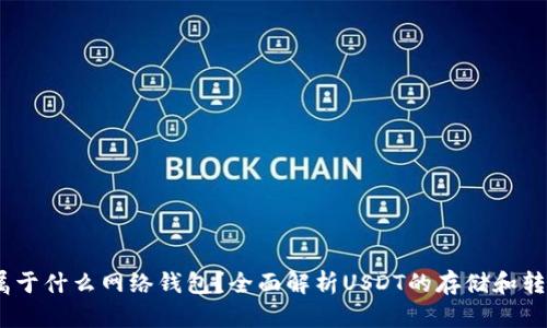 USDT属于什么网络钱包？全面解析USDT的存储和转账方式